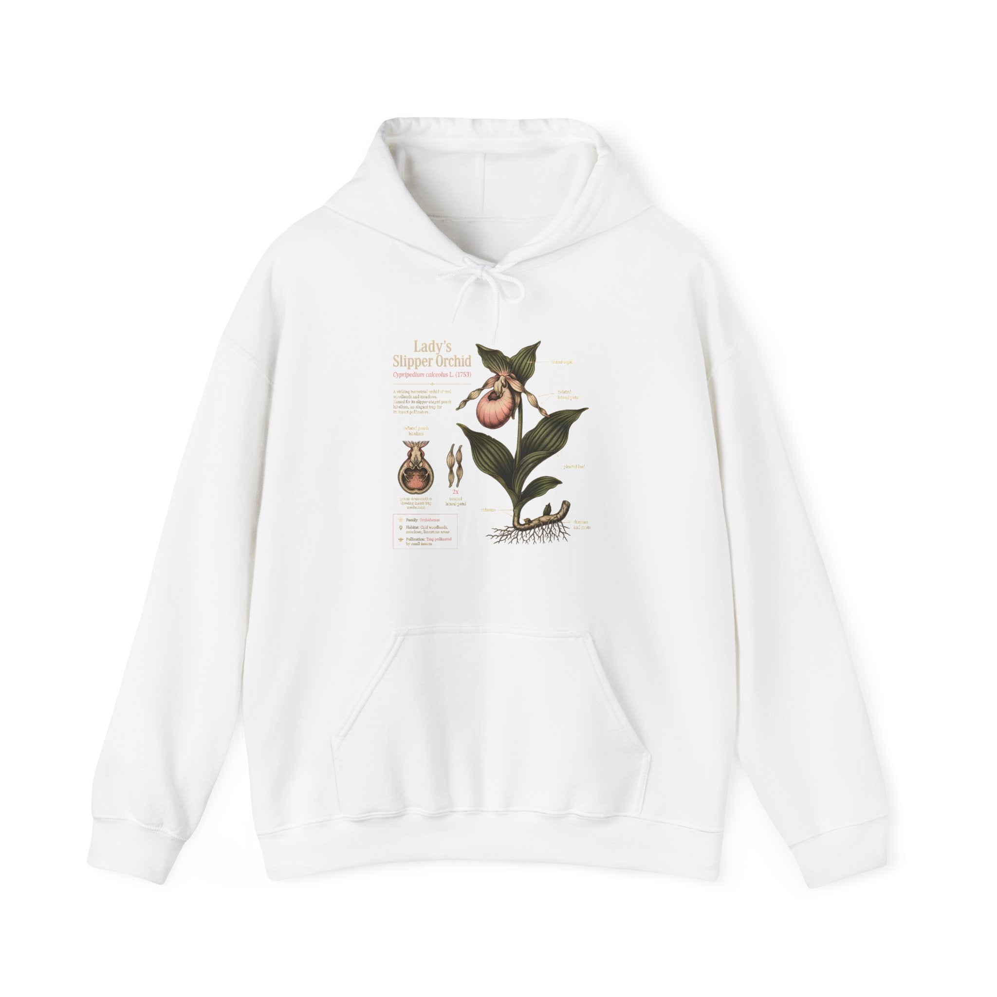 Botanical Peach Illustration Hoodie — Vintage Botanical Chart Sweatshirt Secondary image