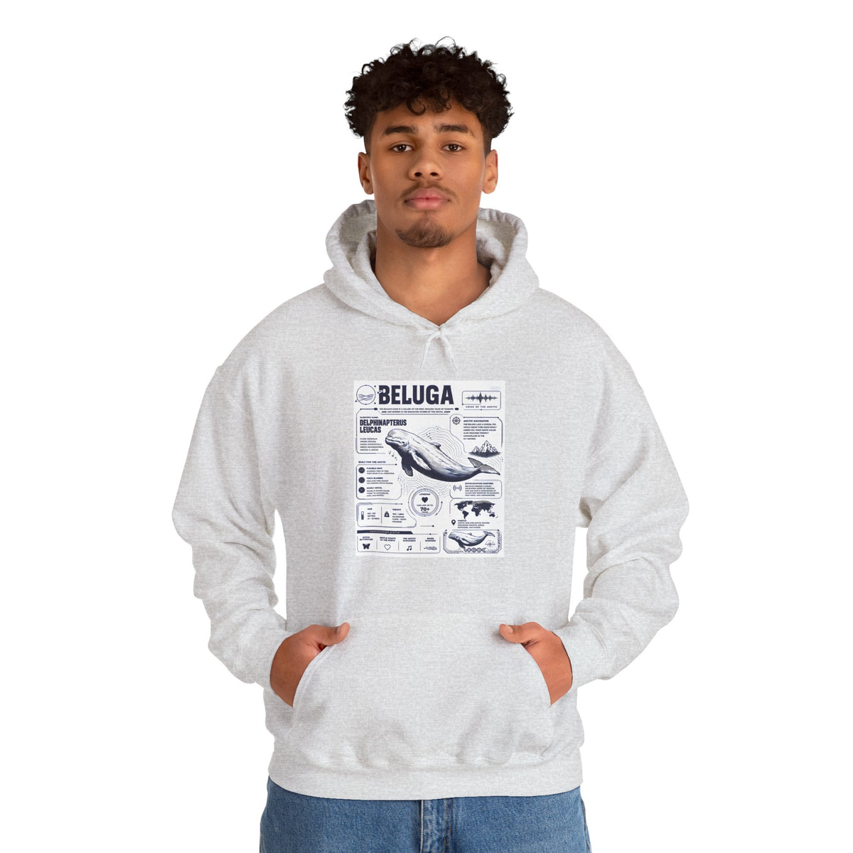 Beluga Whale Graphic Hoodie - Marine Life Diagram Sweatshirt