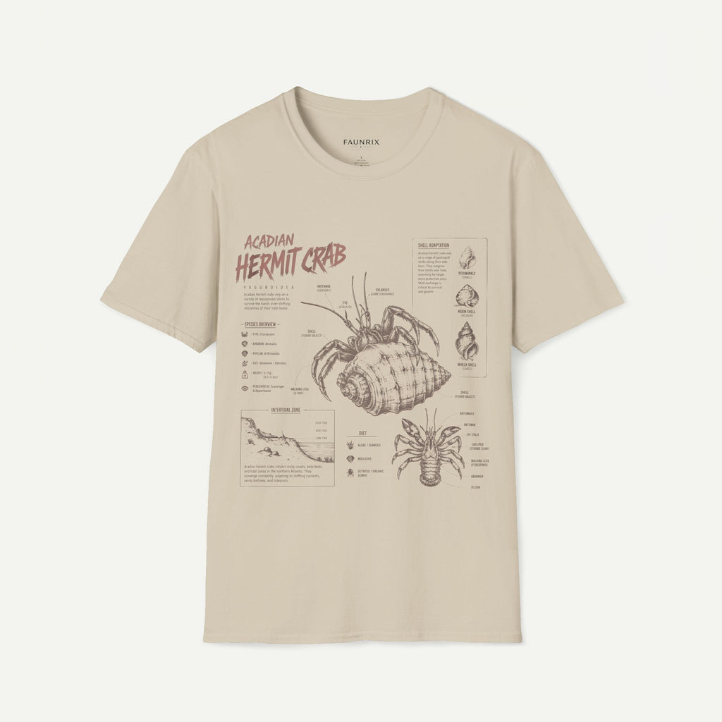 Hermit Crab Anatomy T-Shirt — Acadian Marine Illustration Tee