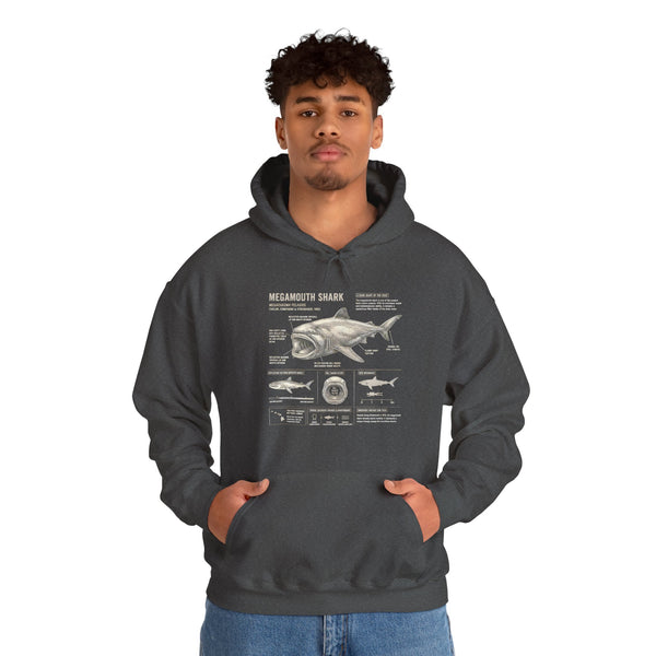 Shark Anatomy Hoodie — Vintage Megalodon Illustration Pullover