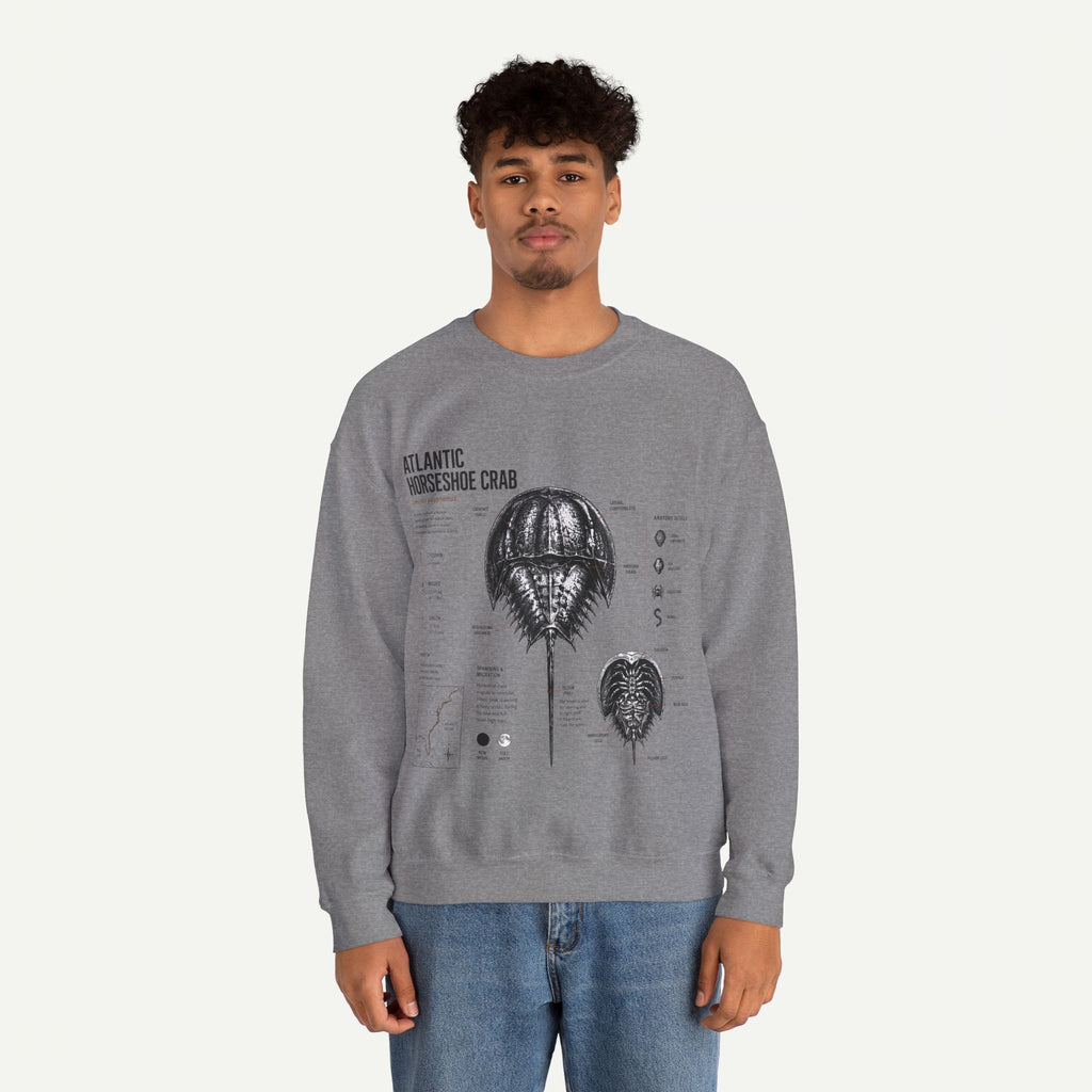 Horseshoe Crab Anatomy Sweatshirt — Atlantic Horseshoe Crab Illustration Crewneck