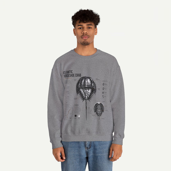 Horseshoe Crab Anatomy Sweatshirt — Atlantic Horseshoe Crab Illustration Crewneck