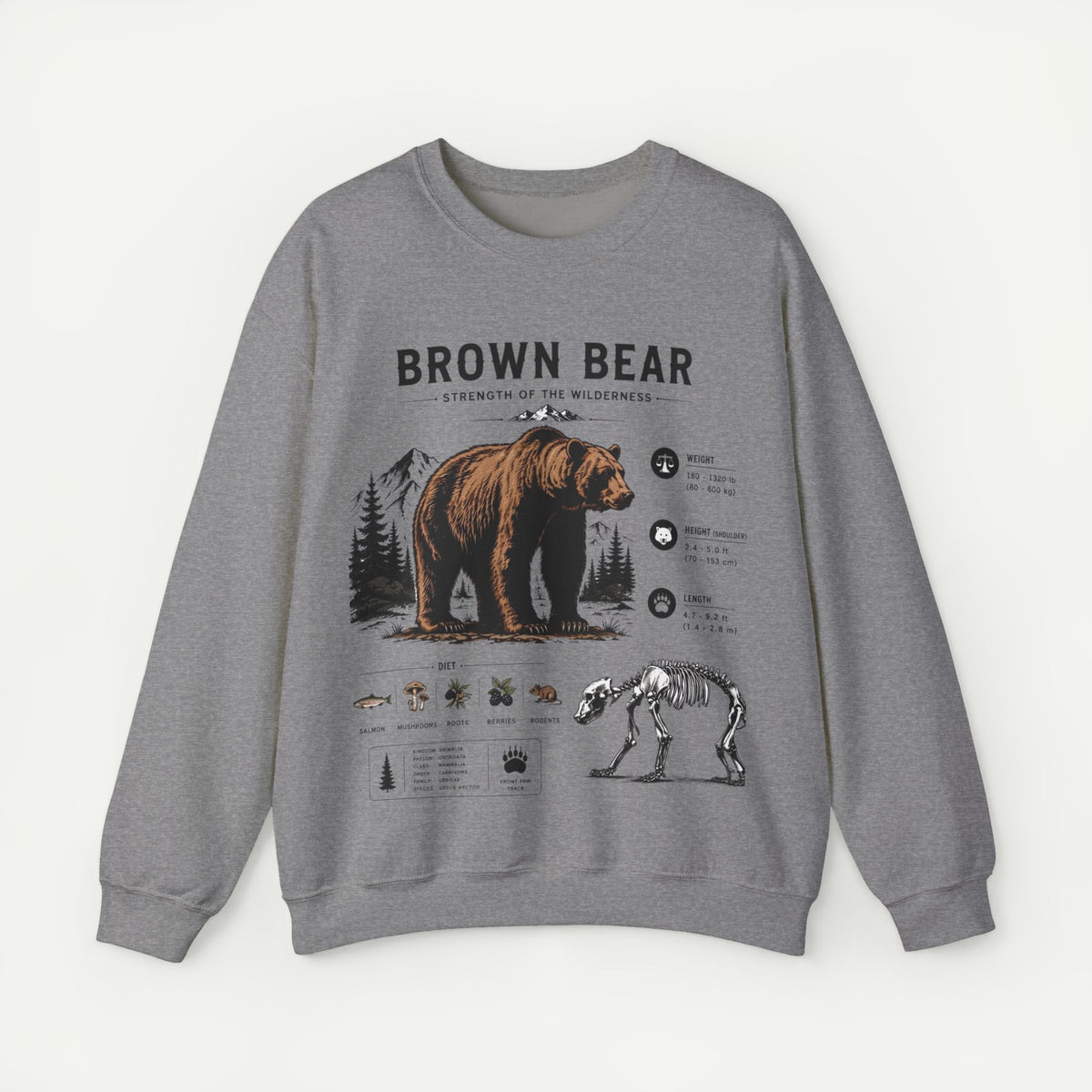 Brown Bear Anatomy Sweatshirt — Wildlife Illustration Graphic Sweatshirt
