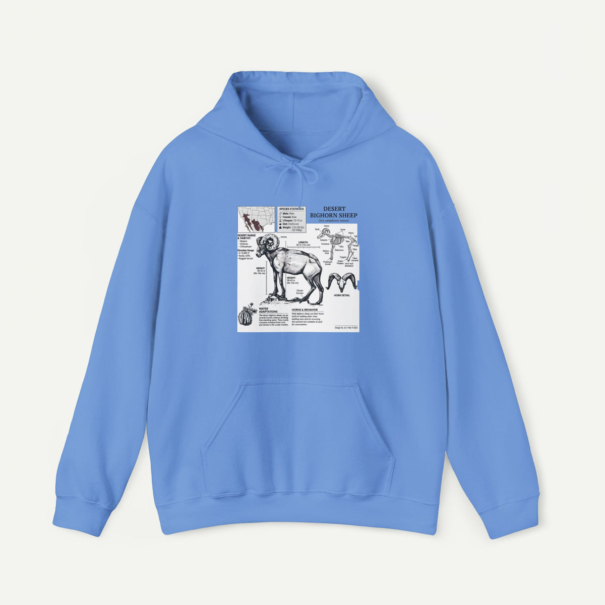 Dog Anatomy Hoodie – Vintage Canine Diagram Sweatshirt