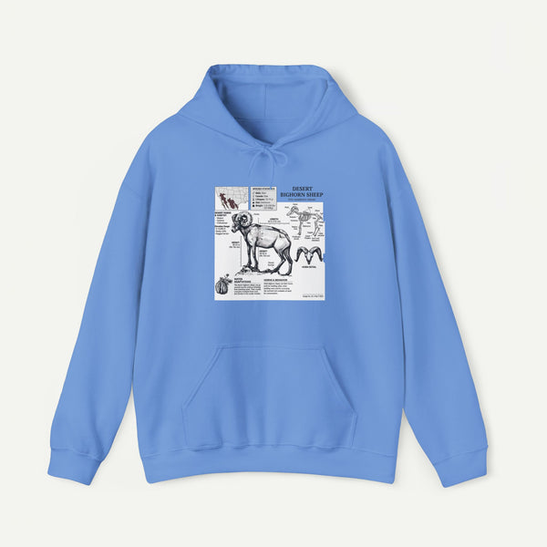 Dog Anatomy Hoodie – Vintage Canine Diagram Sweatshirt