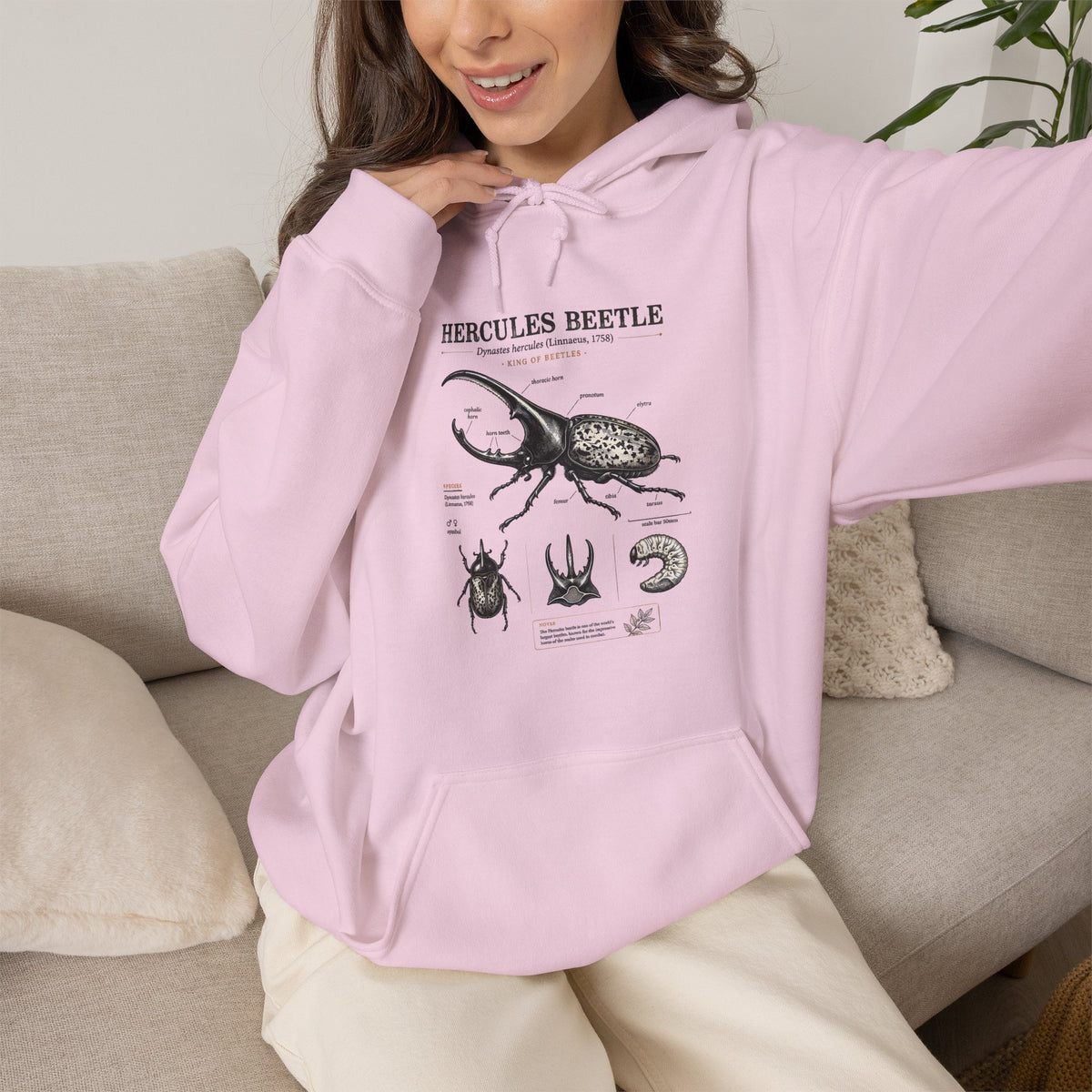 Hercules Beetle Anatomy Hoodie — Vintage Entomology Illustration Sweatshirt