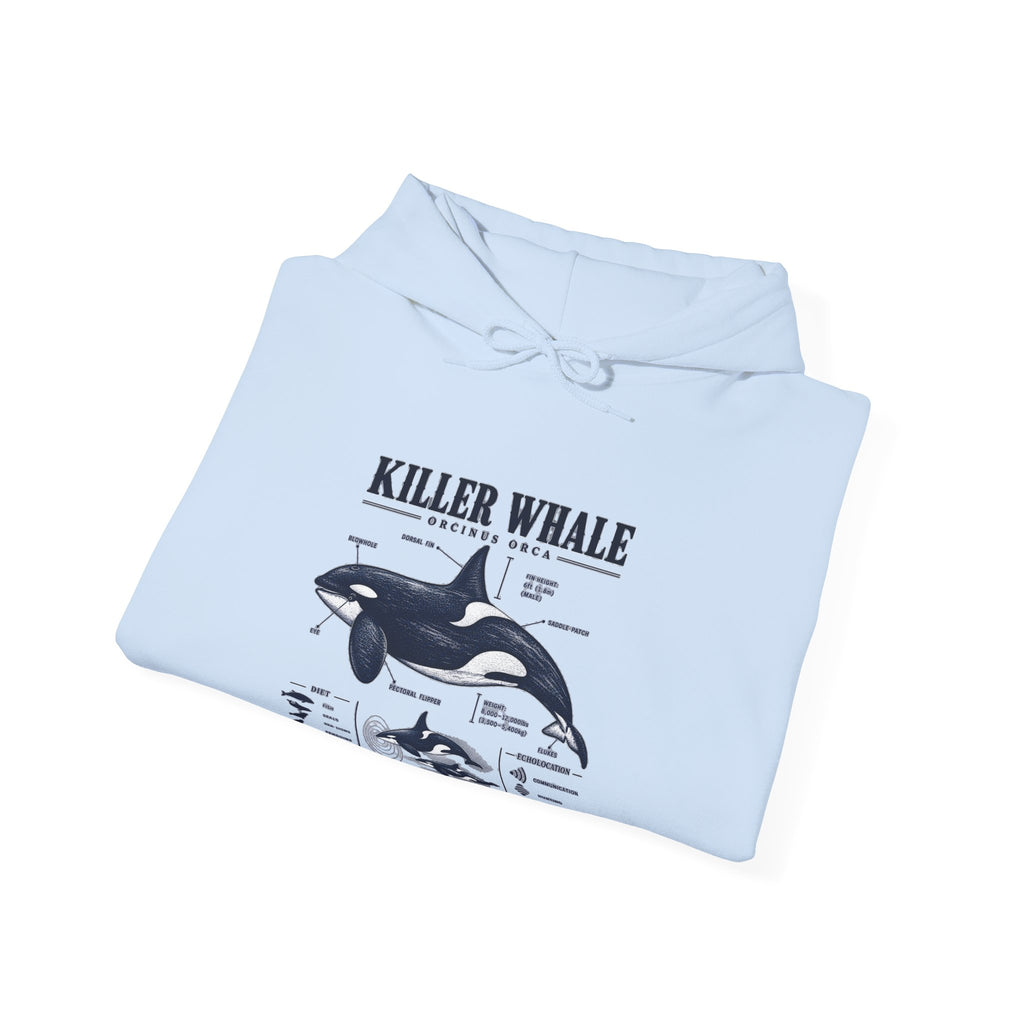 Killer Whale Anatomy Hoodie — Orca Scientific Diagram Sweatshirt