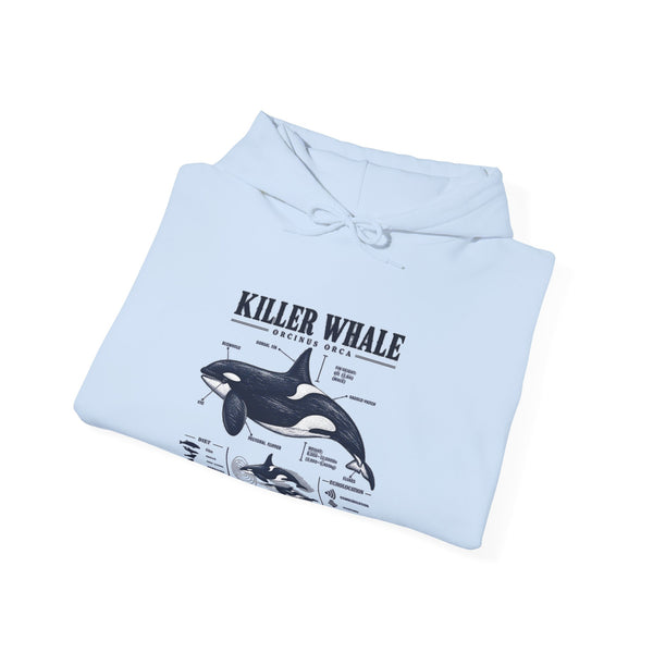 Killer Whale Anatomy Hoodie — Orca Scientific Diagram Sweatshirt