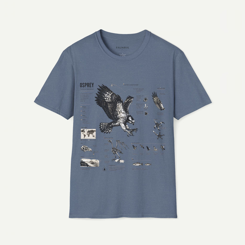 Osprey Anatomy T-Shirt — Vintage Bird Illustration Tee