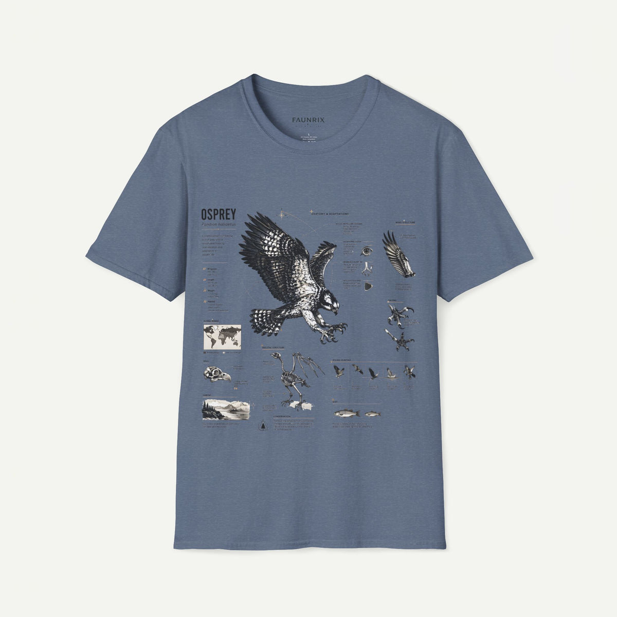 Osprey Anatomy T-Shirt — Vintage Bird Illustration Tee