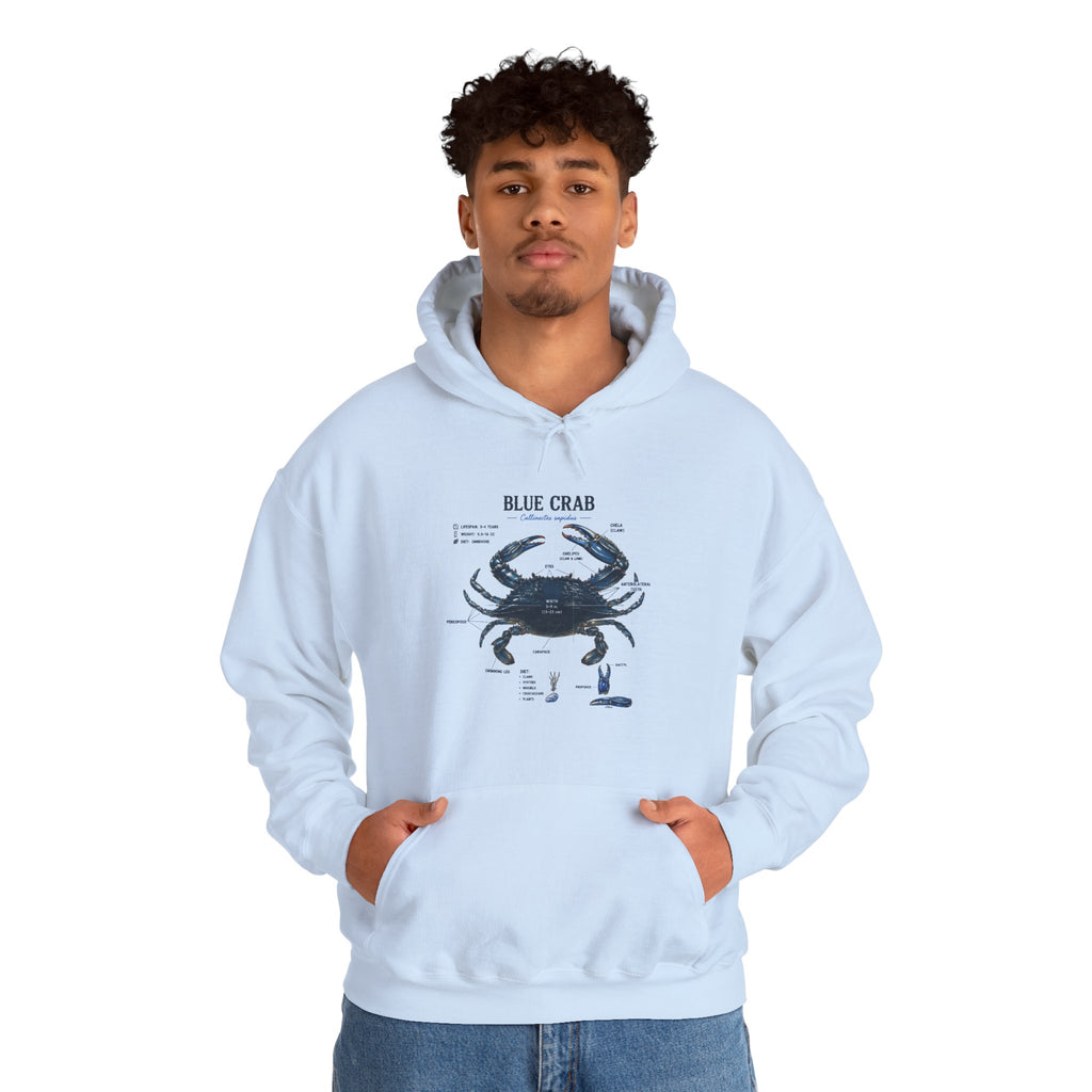 Blue Crab Anatomy Hoodie — Nautical Marine Biology Graphic Sweatshirt