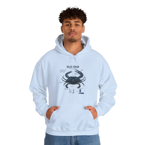 Blue Crab Anatomy Hoodie — Nautical Marine Biology Graphic Sweatshirt