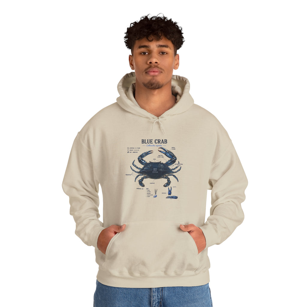 Blue Crab Anatomy Hoodie — Nautical Marine Biology Graphic Sweatshirt