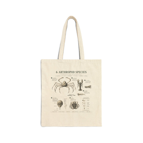 Arthropod Species Illustrated Canvas Tote Bag — Vintage Spider & Crab Biology Print