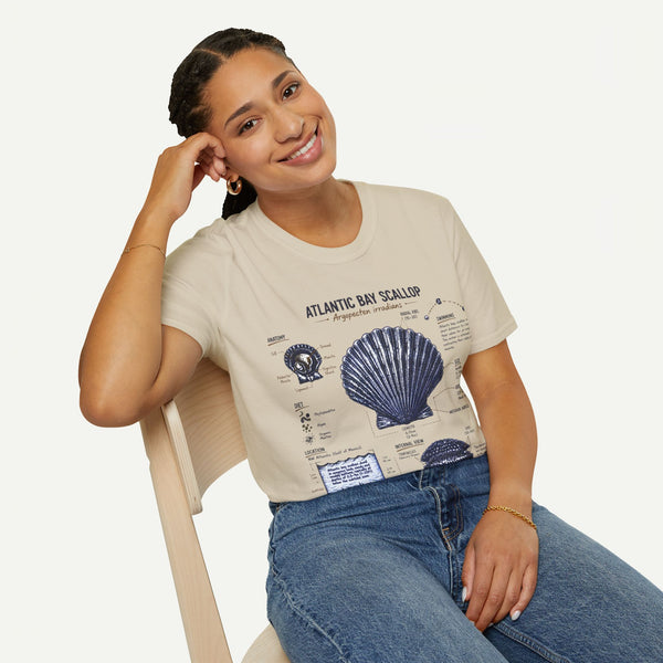Scallop Shell Anatomy T‑Shirt — Atlantic Bay Scallop Illustration Tee