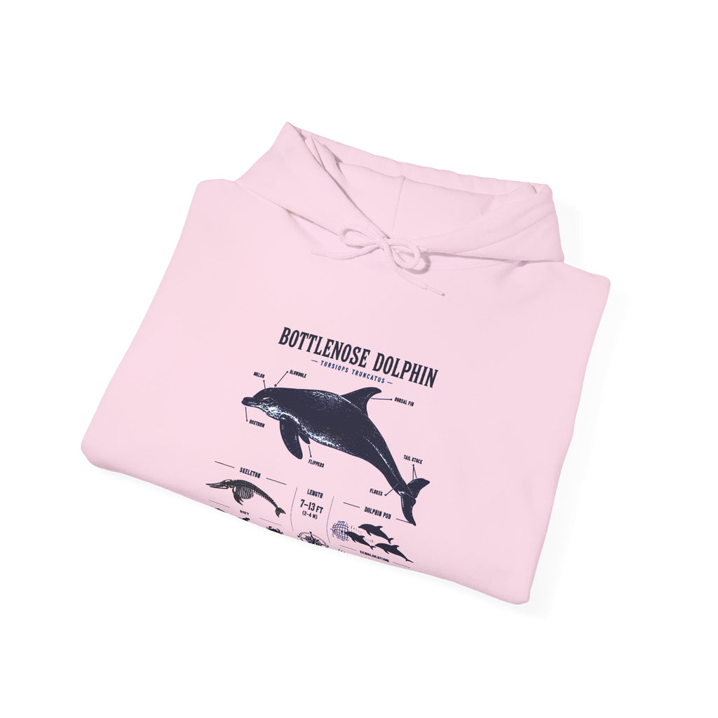 Bottlenose Dolphin Diagram Hoodie – Marine Life Anatomy Sweatshirt