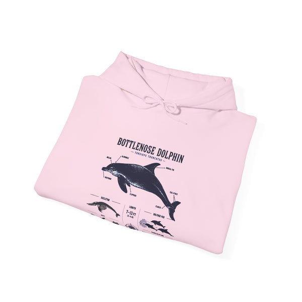 Bottlenose Dolphin Diagram Hoodie – Marine Life Anatomy Sweatshirt