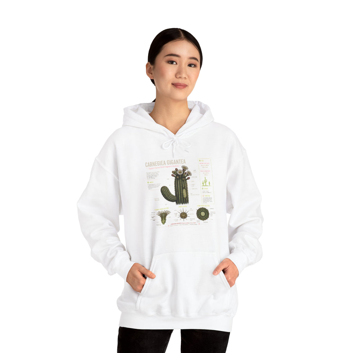 Cactus Anatomy Hoodie — Botanical Saguaro Diagram Sweatshirt