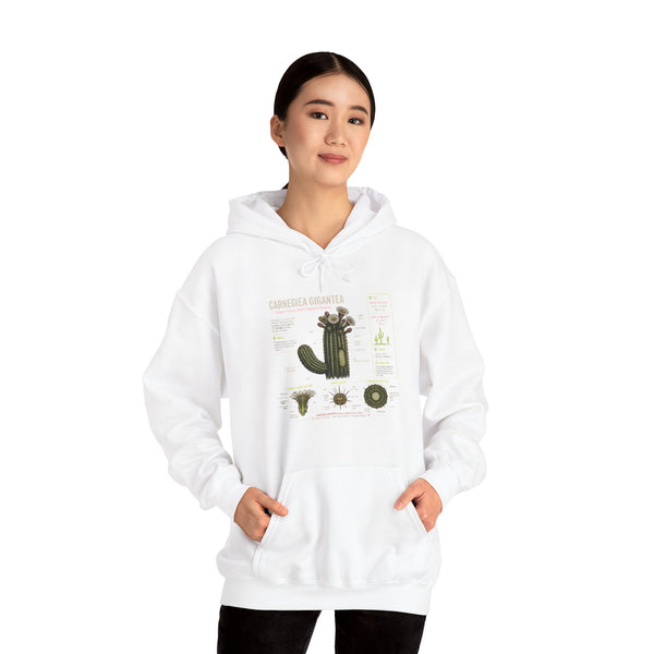Cactus Anatomy Hoodie — Botanical Saguaro Diagram Sweatshirt