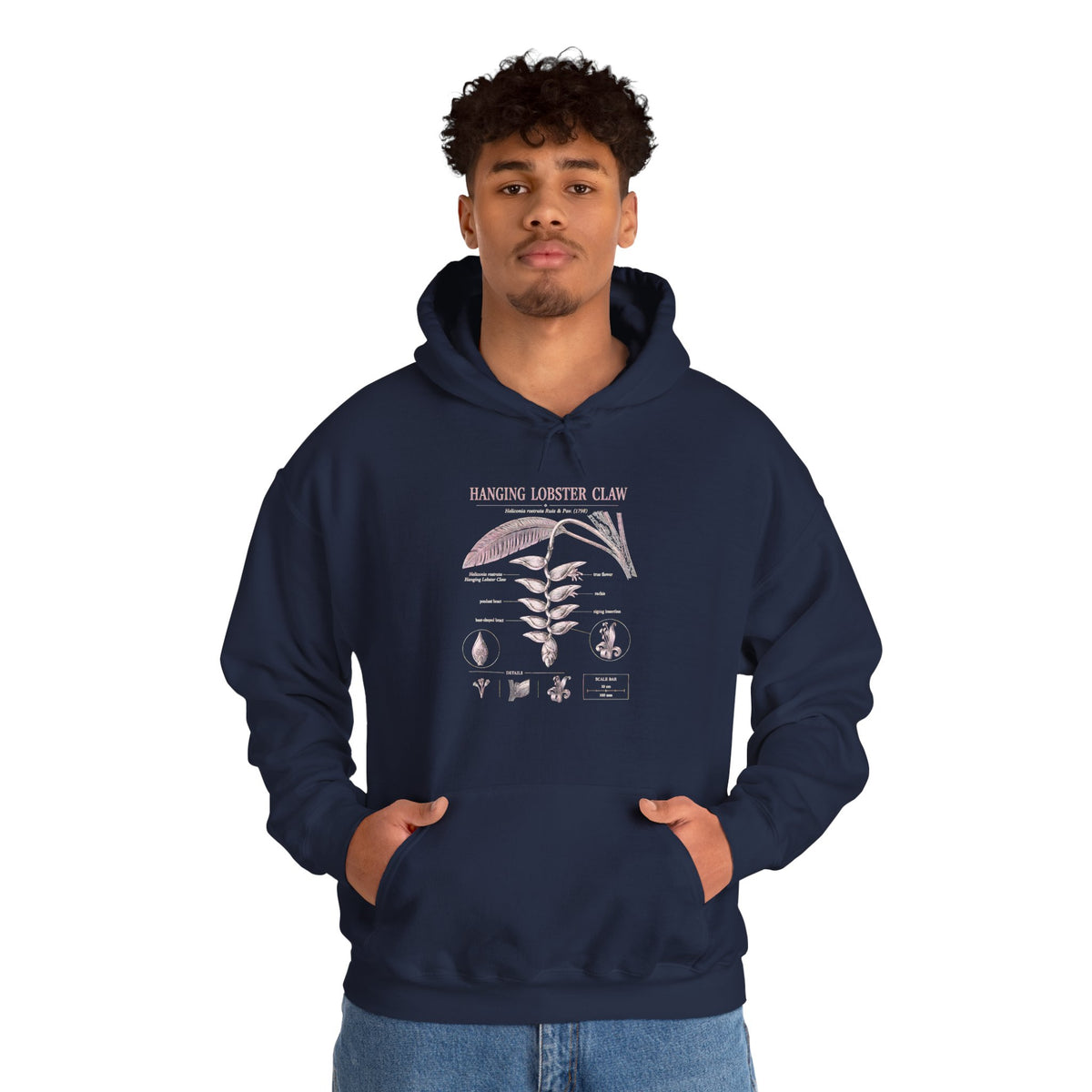 Botanical Growth Hoodie — Humming Lighter Club Plant Diagram Pullover