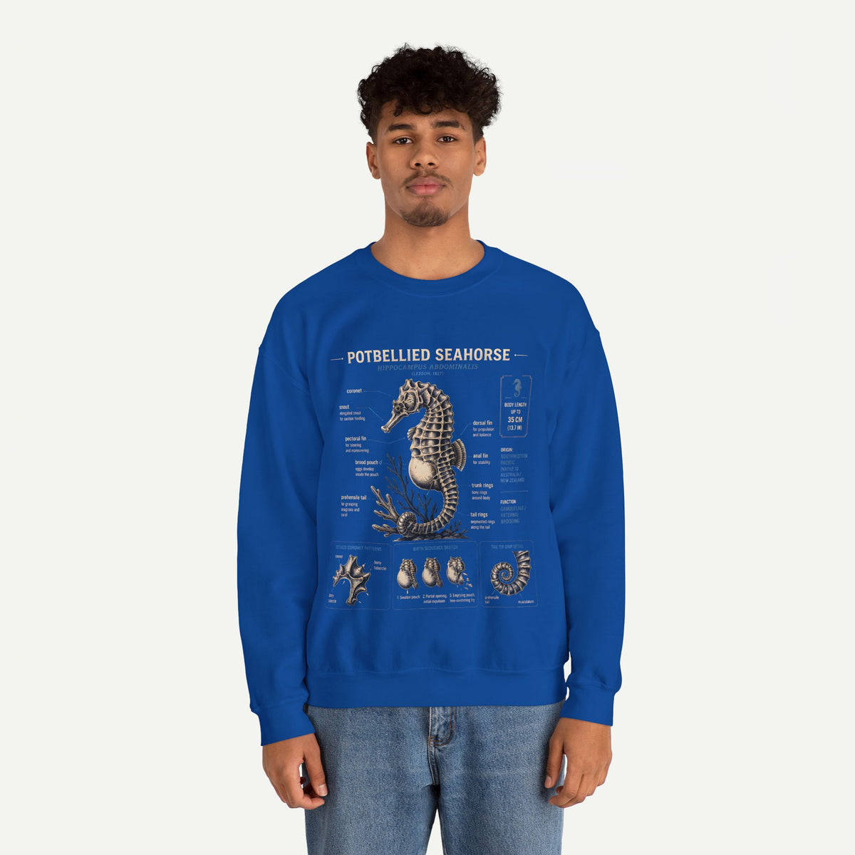 Potbellied Seahorse Anatomy Sweatshirt – Marine Biology Illustration Crewneck
