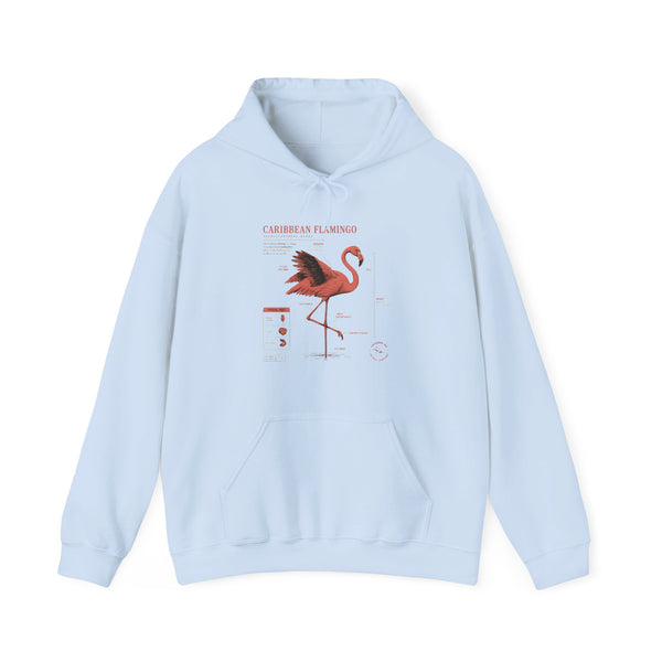 Flamingo Anatomy Hoodie – Caribbean Flamingo Scientific Diagram Sweatshirt