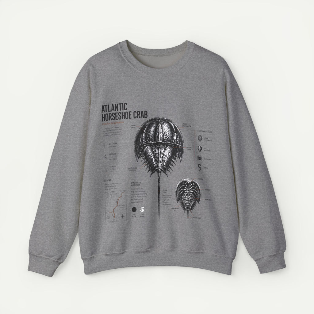 Horseshoe Crab Anatomy Sweatshirt — Atlantic Horseshoe Crab Illustration Crewneck