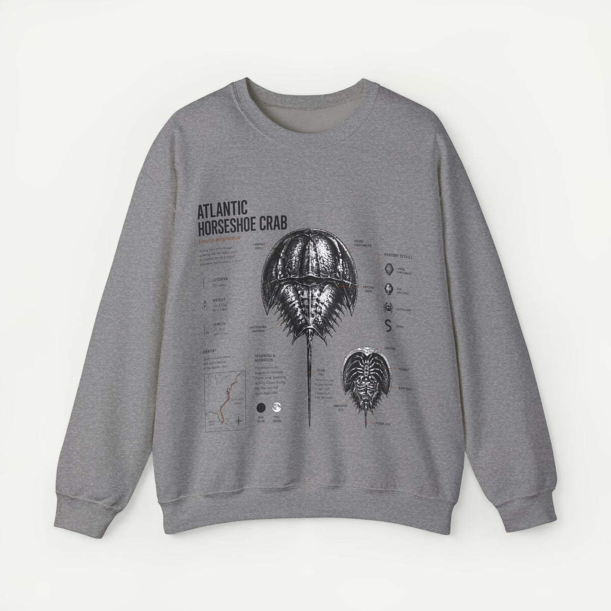 Horseshoe Crab Anatomy Sweatshirt — Atlantic Horseshoe Crab Illustration Crewneck