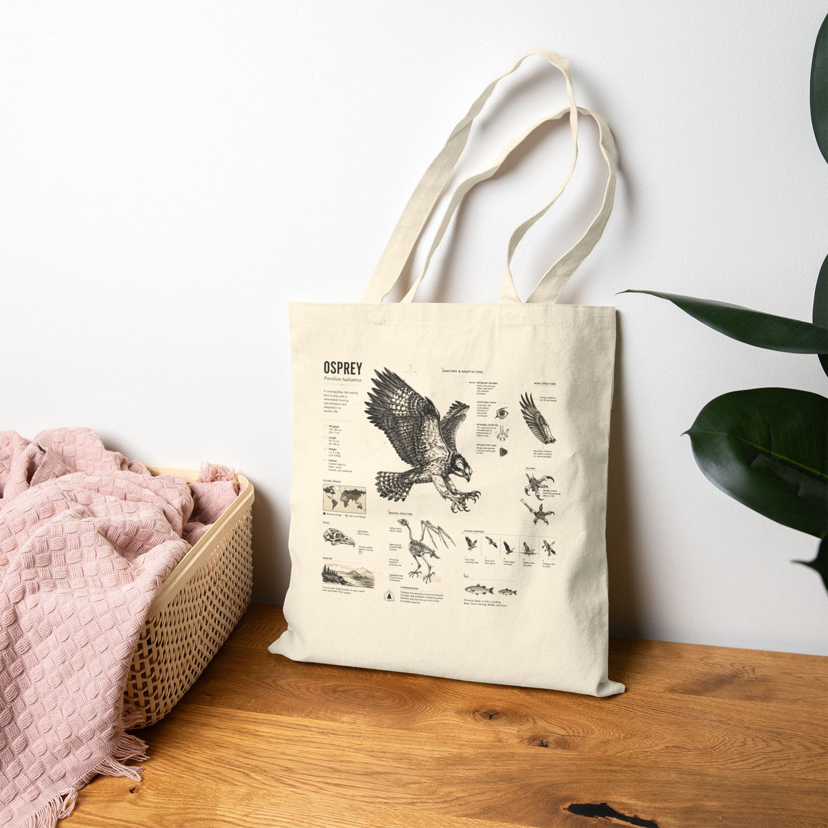 Osprey Anatomy Canvas Tote Bag — Vintage Bird Illustration Eco Tote