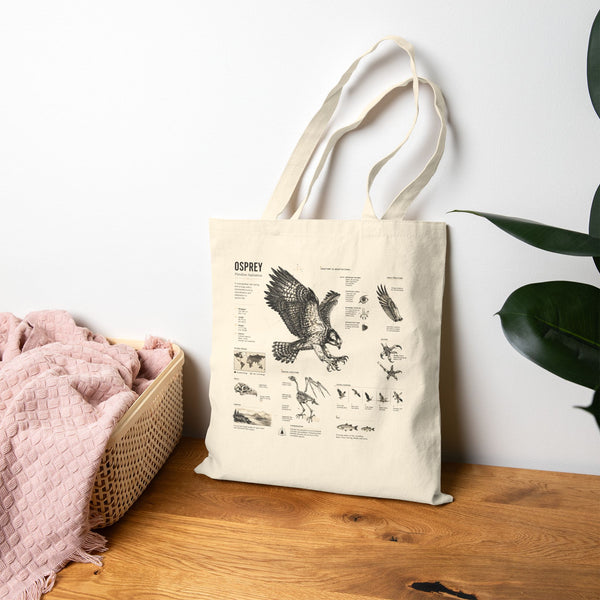 Osprey Anatomy Canvas Tote Bag — Vintage Bird Illustration Eco Tote