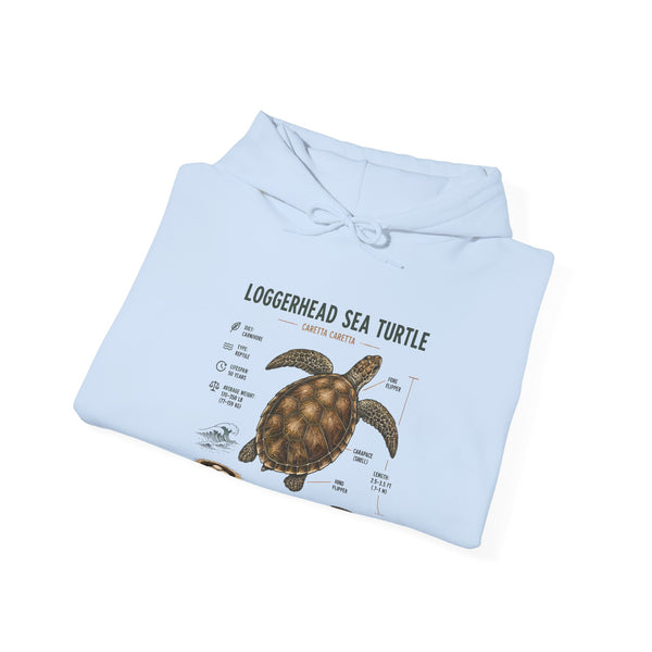 Loggerhead Sea Turtle Diagram Hoodie – Marine Biology Illustration Sweatshirt