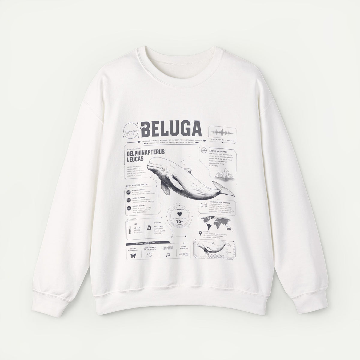 Beluga Whale Anatomy Sweatshirt