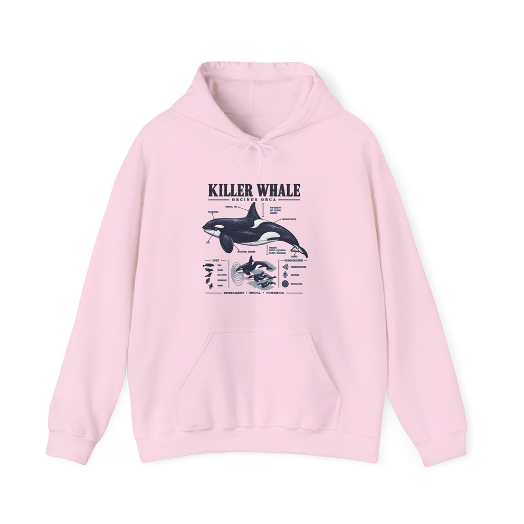Killer Whale Anatomy Hoodie — Orca Scientific Diagram Sweatshirt
