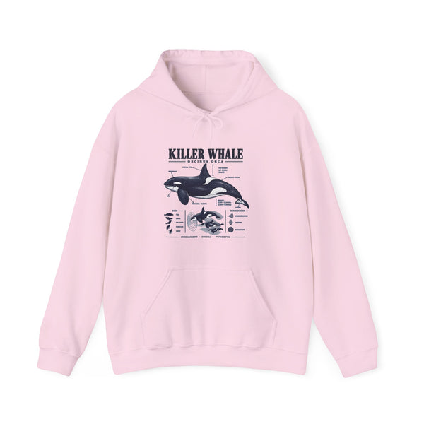 Killer Whale Anatomy Hoodie — Orca Scientific Diagram Sweatshirt