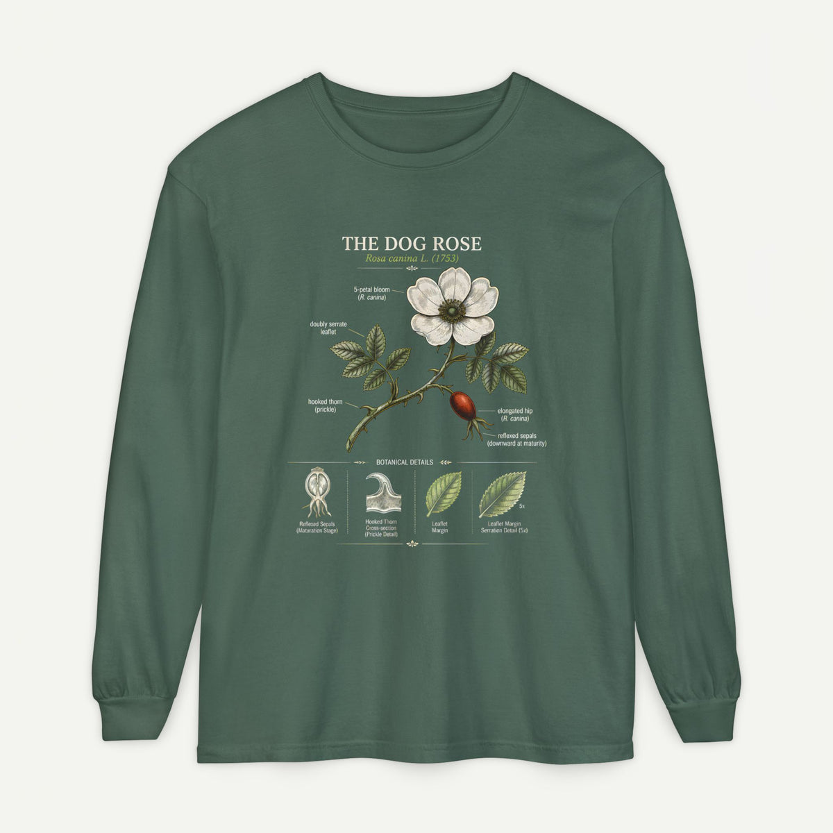 Vintage Botanical Long Sleeve Tee — Wild Rose Illustration