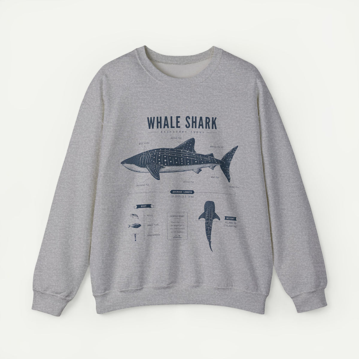 Whale Shark Anatomy Sweatshirt — Marine Life Illustration Crewneck