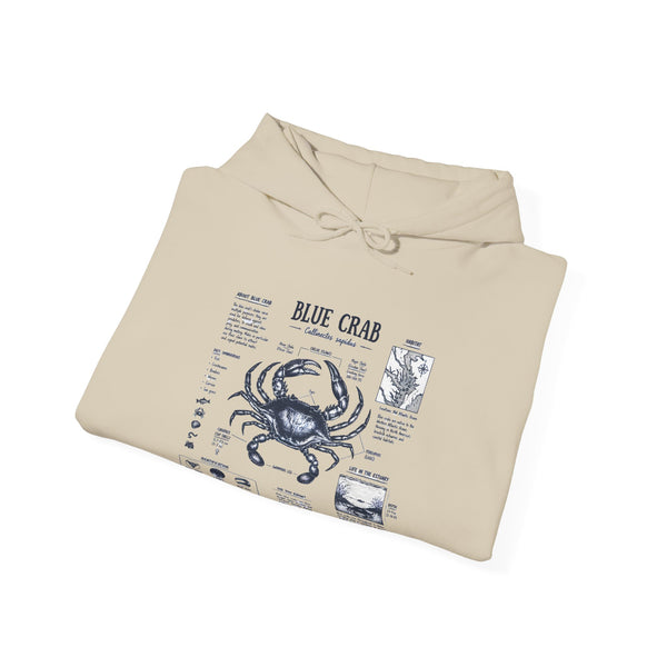 Blue Crab Anatomy Hoodie — Nautical Seafood Diagram Sweatshirt