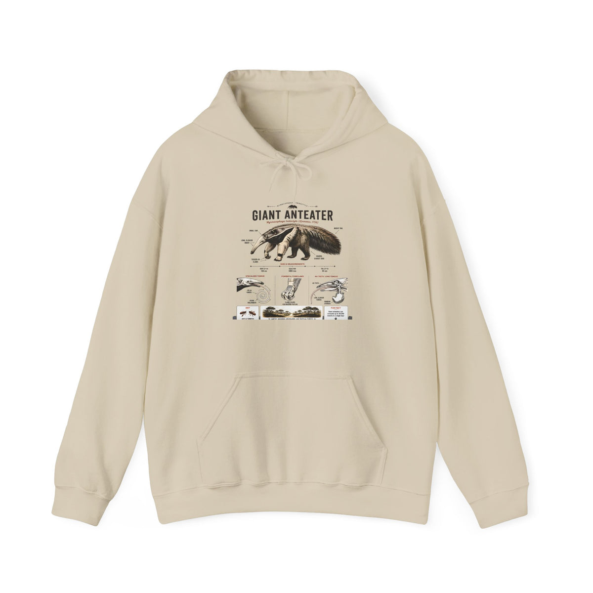 Giant Anteater Anatomy Hoodie — Illustrated Wildlife Diagram Sweatshirt