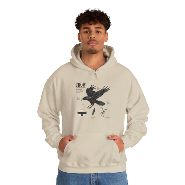 Crow Anatomy Hoodie — Vintage Raven Diagram Hooded Sweatshirt