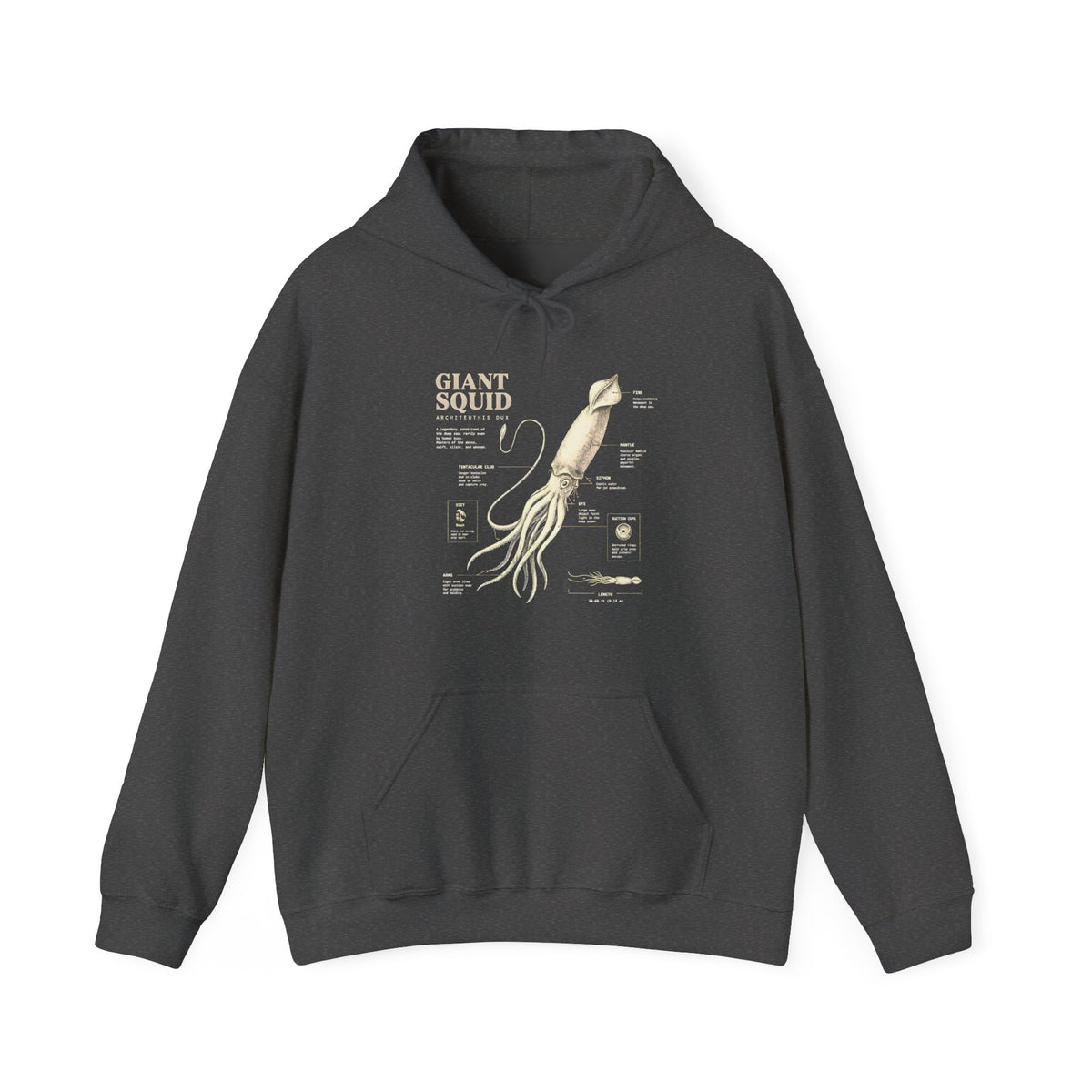 Giant Squid Hoodie – Minimal Nautical Illustration Sweatshirt