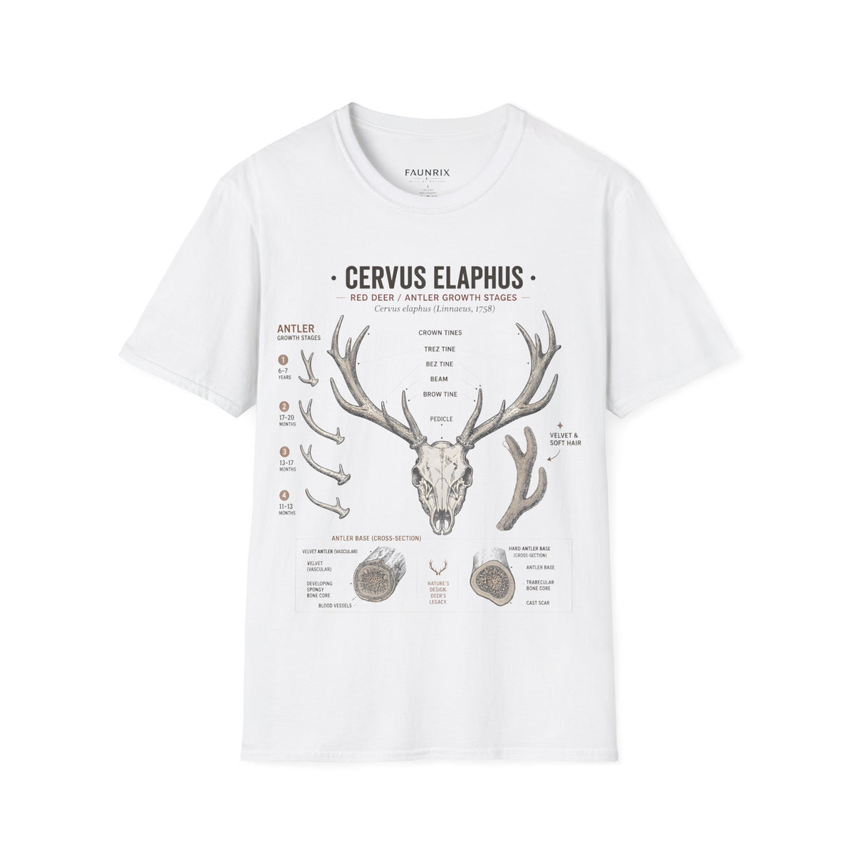 Deer Antler Anatomy T-Shirt — 'Cervus Elaphus' Educational Graphic