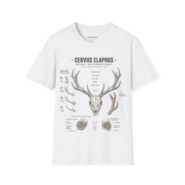 Deer Antler Anatomy T-Shirt — 'Cervus Elaphus' Educational Graphic