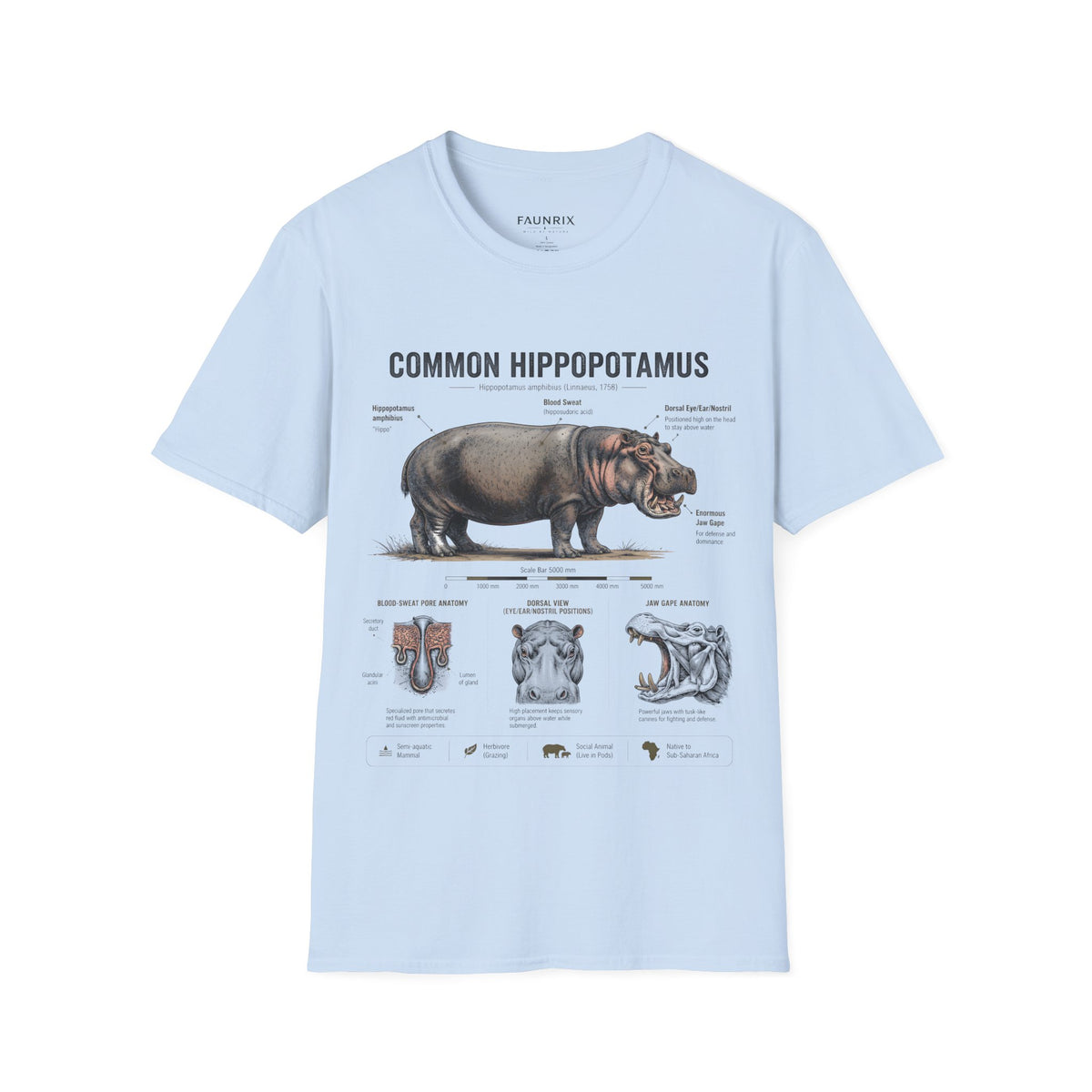 Common Hippopotamus Anatomy T-Shirt — Vintage Natural History Hippo Tee
