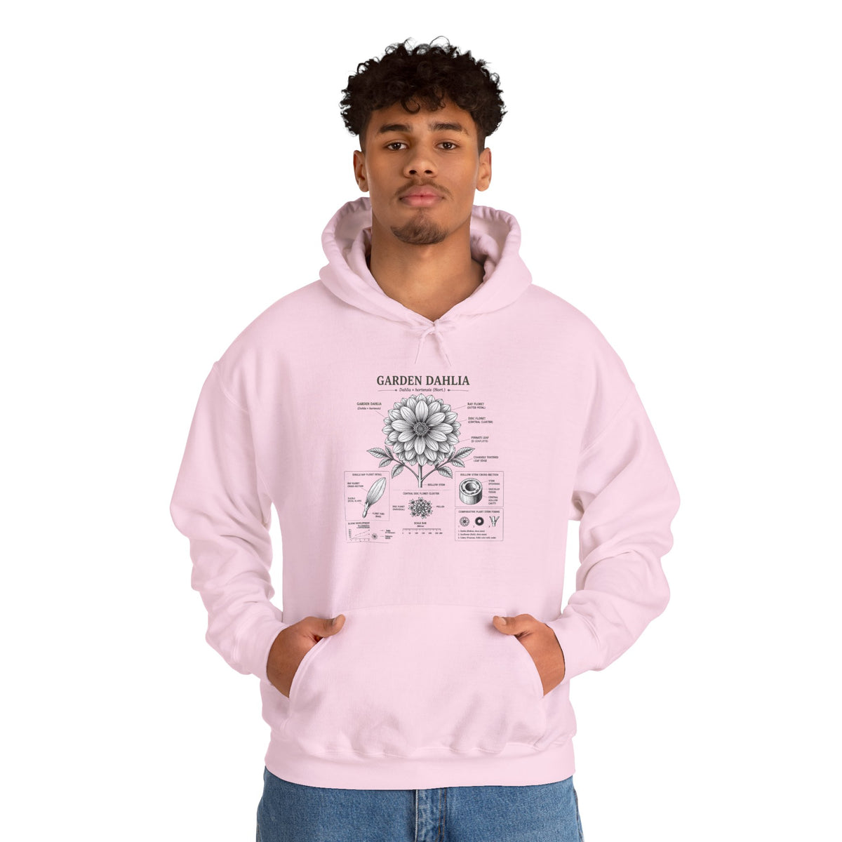 Dahlia Botanical Hoodie — Vintage Garden Diagram Sweatshirt