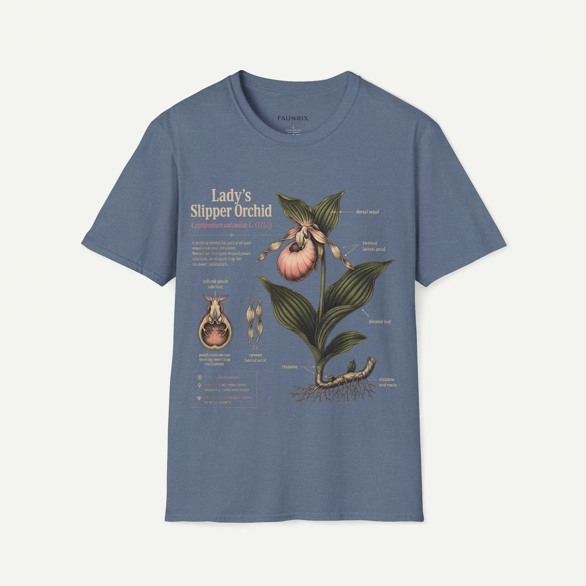Lady's Slipper Orchid Atanomy T-Shirt — Botanical Illustration Tee Main image