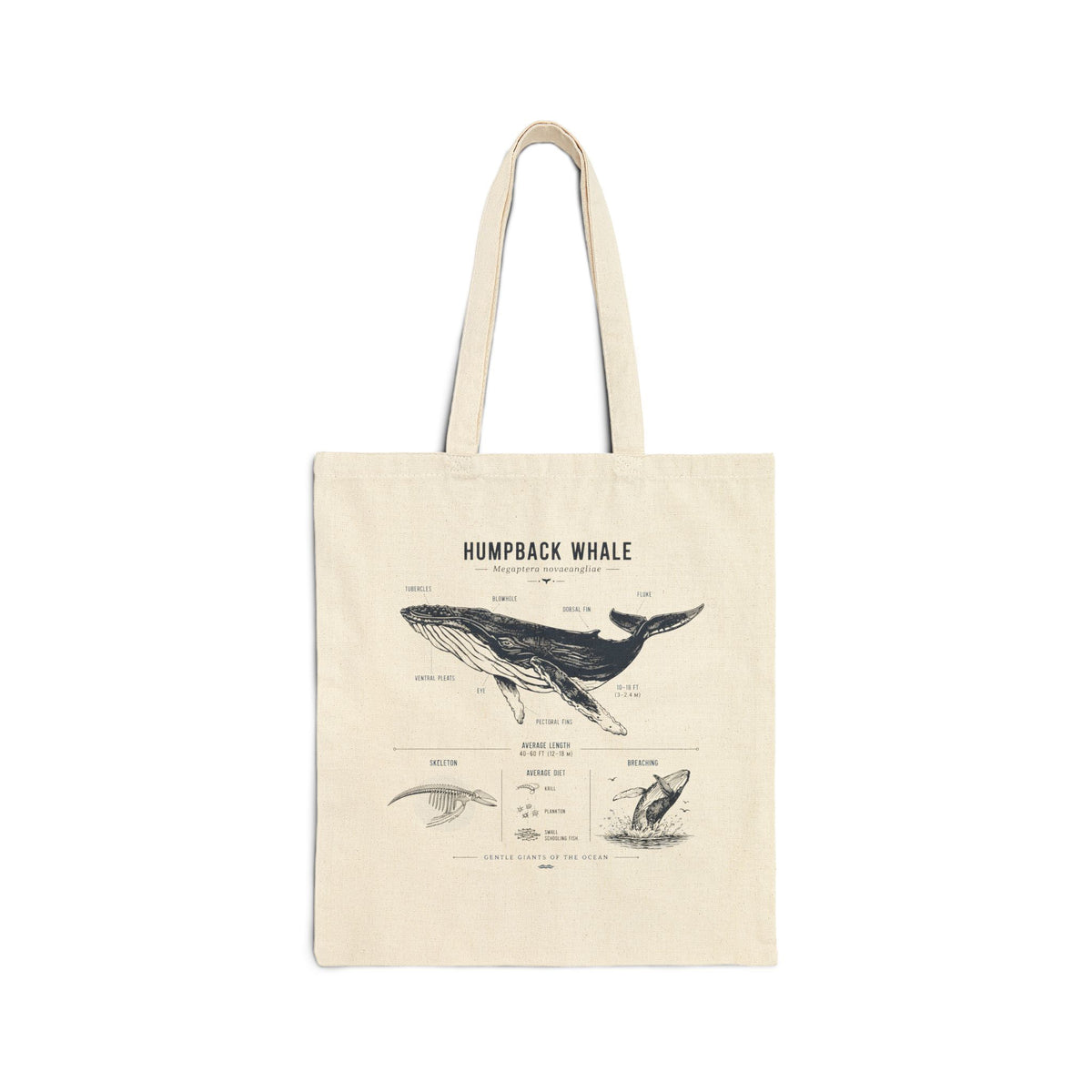 Humpback Whale Vintage Anatomy Tote Main image