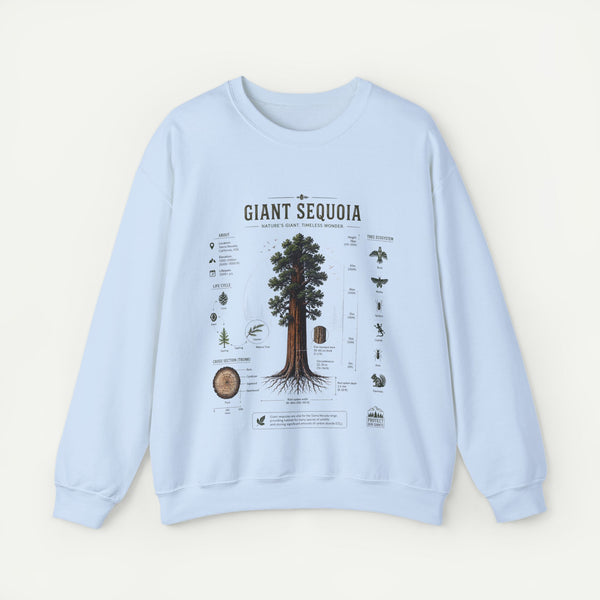 Giant Sequoia Botanical Sweatshirt