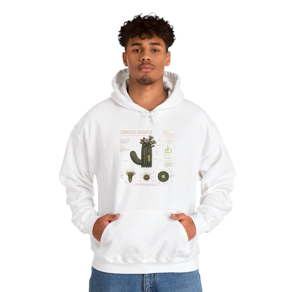 Cactus Anatomy Hoodie — Botanical Saguaro Diagram Sweatshirt
