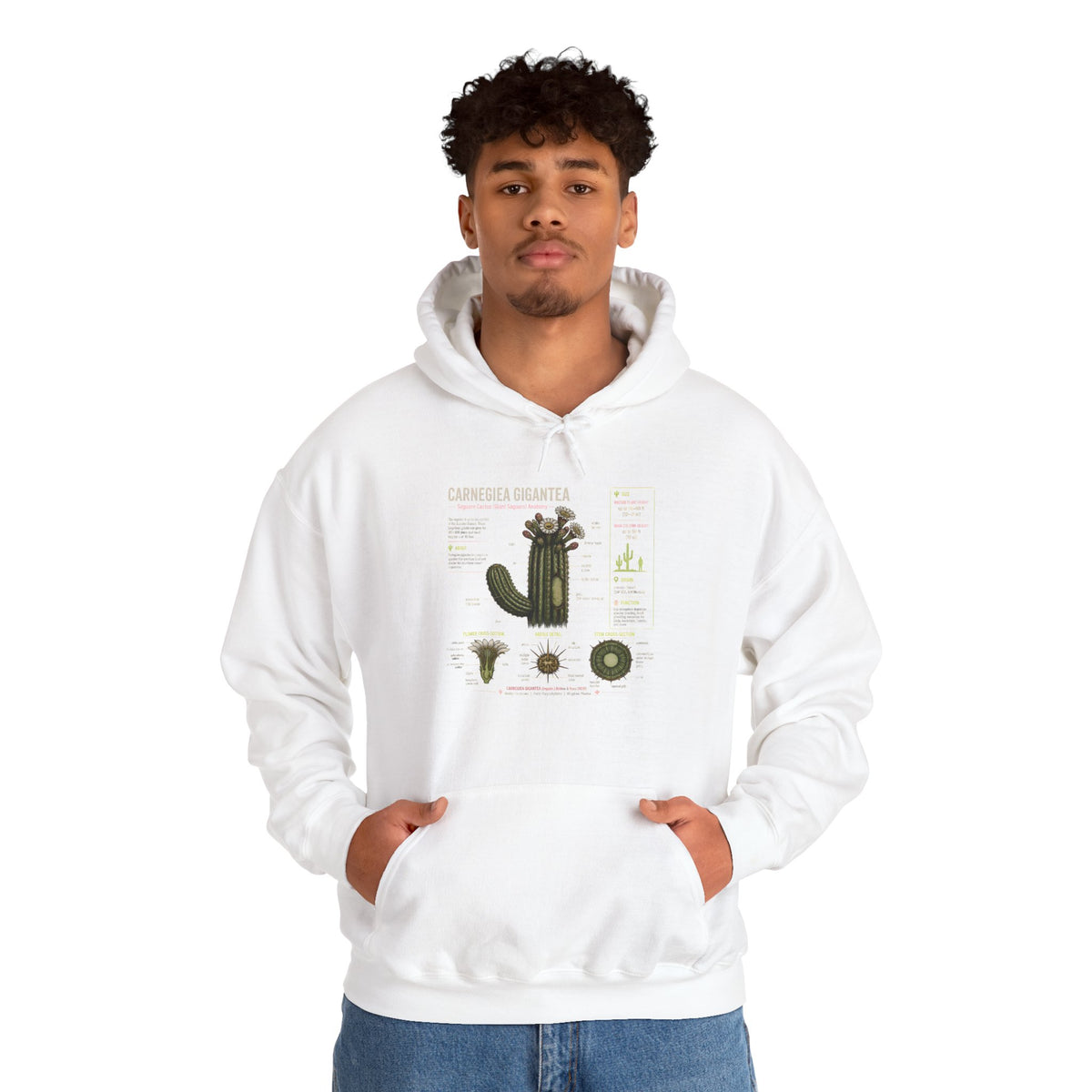 Cactus Anatomy Hoodie — Botanical Saguaro Diagram Sweatshirt