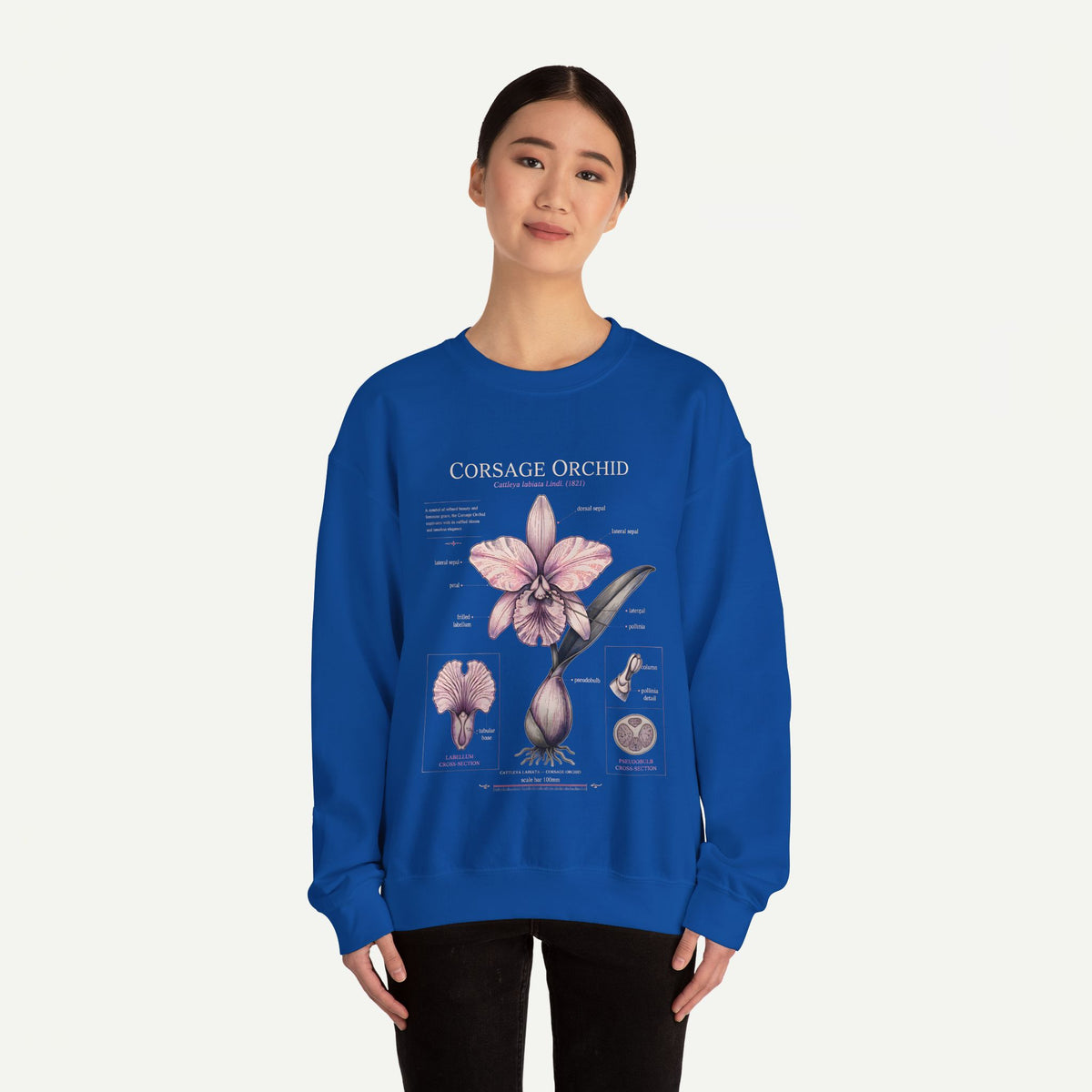Corsage Orchid Sweatshirt — Botanical Anatomy Floral Crewneck